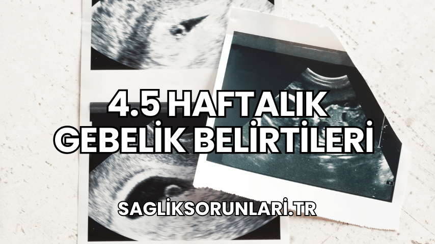 4.5 Haftalık Gebelik Belirtileri