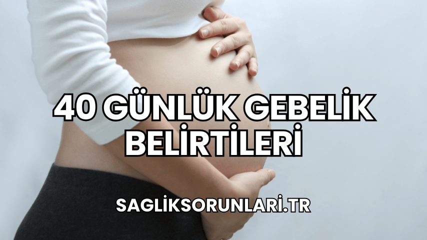 40 Günlük Gebelik Belirtileri