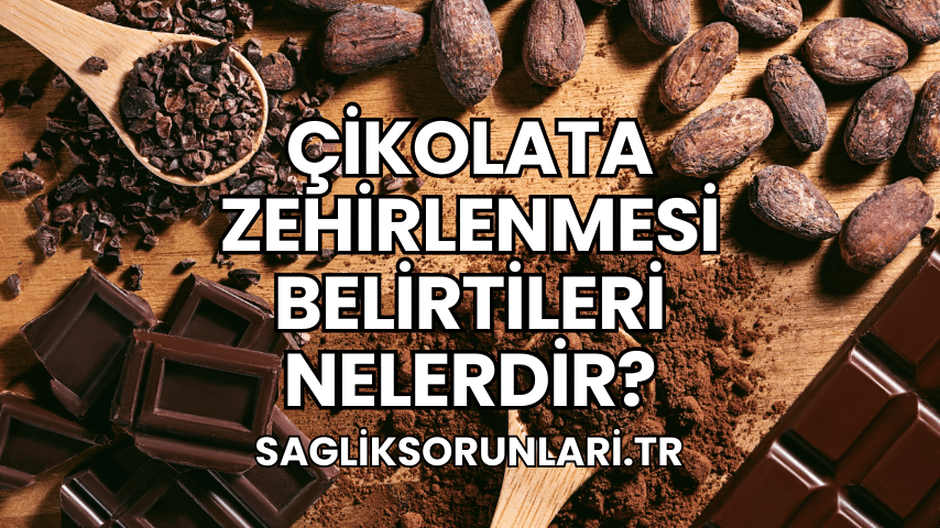 Çikolata Zehirlenmesi Belirtileri Nelerdir?