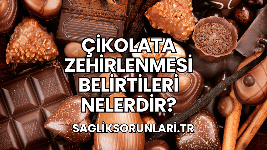 Çikolata Zehirlenmesi Belirtileri Nelerdir?