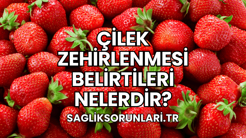 Çilek Zehirlenmesi Belirtileri Nelerdir?