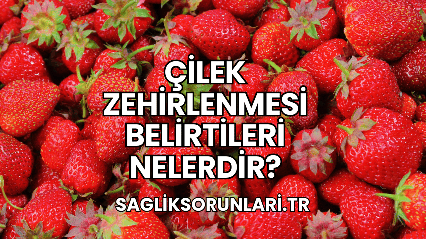 Çilek Zehirlenmesi Belirtileri Nelerdir?