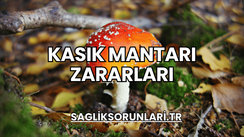 Kasık Mantarı Zararları