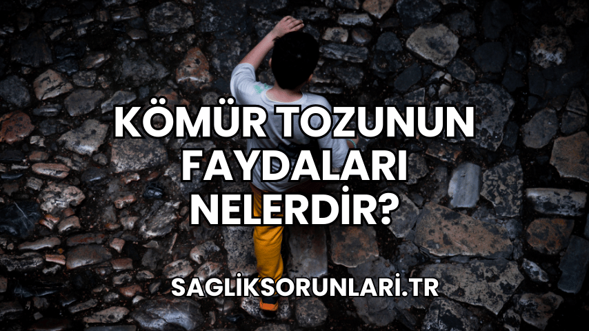 Kömür Tozunun Faydaları Nelerdir?