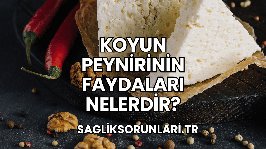 Koyun Peynirinin Faydaları Nelerdir?