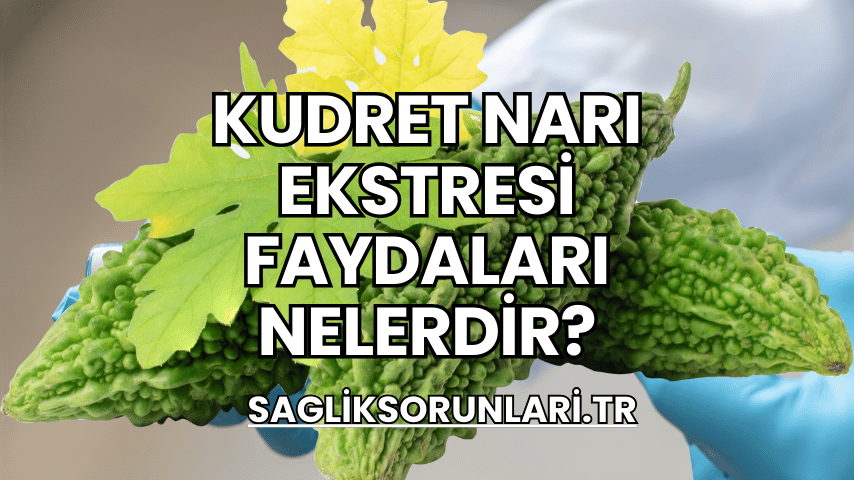 Kudret Narı Ekstresi Faydaları Nelerdir?