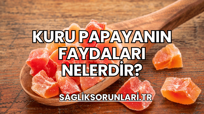 Kuru Papayanın Faydaları Nelerdir?