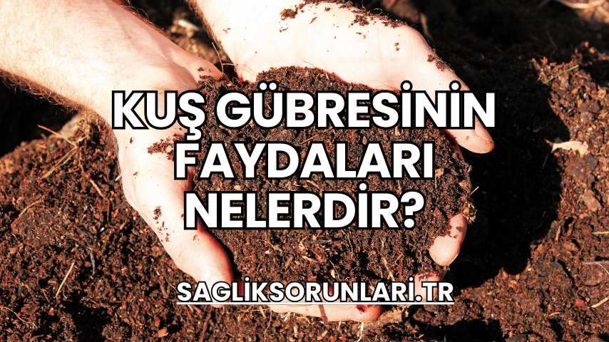 Kuş Gübresinin Faydaları Nelerdir?