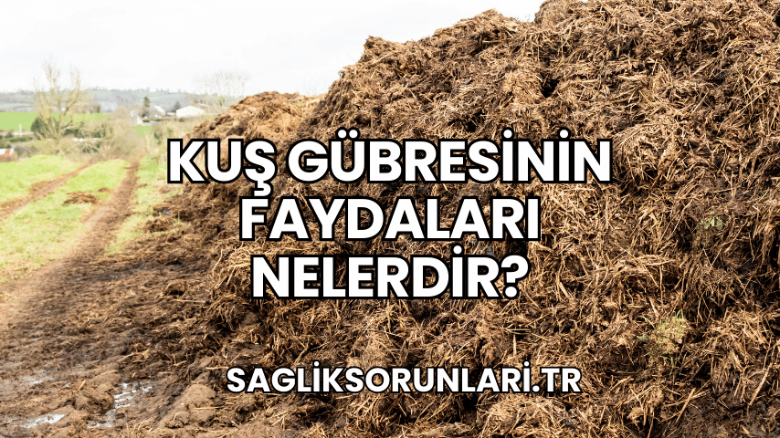 Kuş Gübresinin Faydaları Nelerdir?