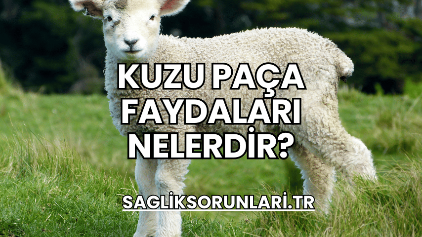 Kuzu Paça Faydaları Nelerdir?