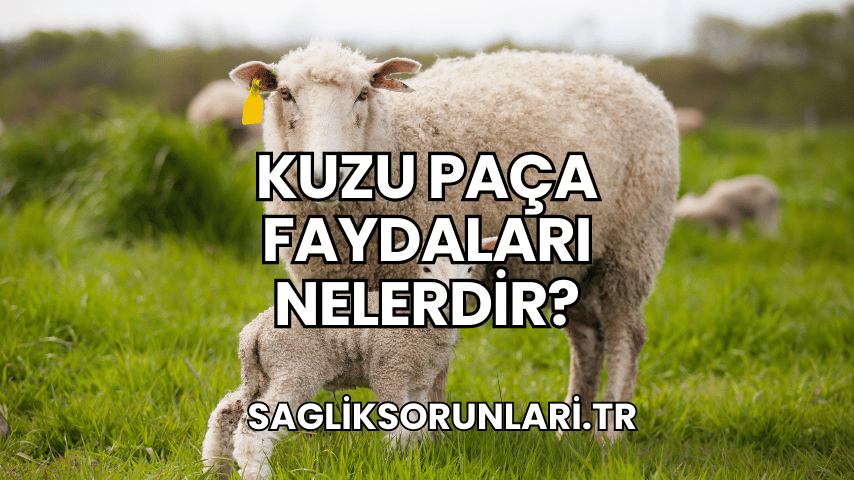 Kuzu Paça Faydaları Nelerdir?