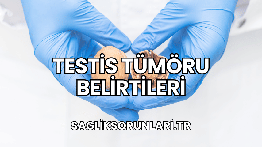 Testis Tümöru Belirtileri