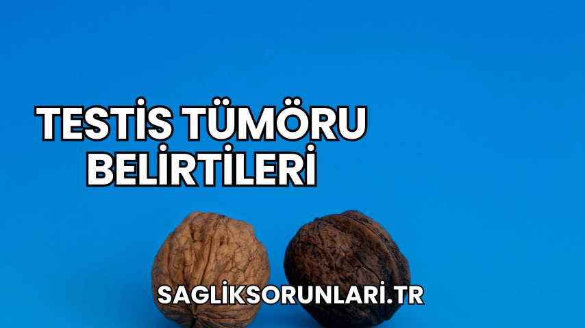 Testis Tümöru Belirtileri