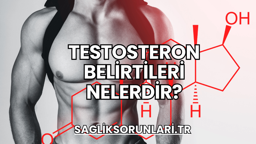 Testosteron Belirtileri Nelerdir?