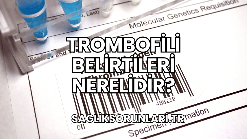 Trombofili Belirtileri Nerelidir?