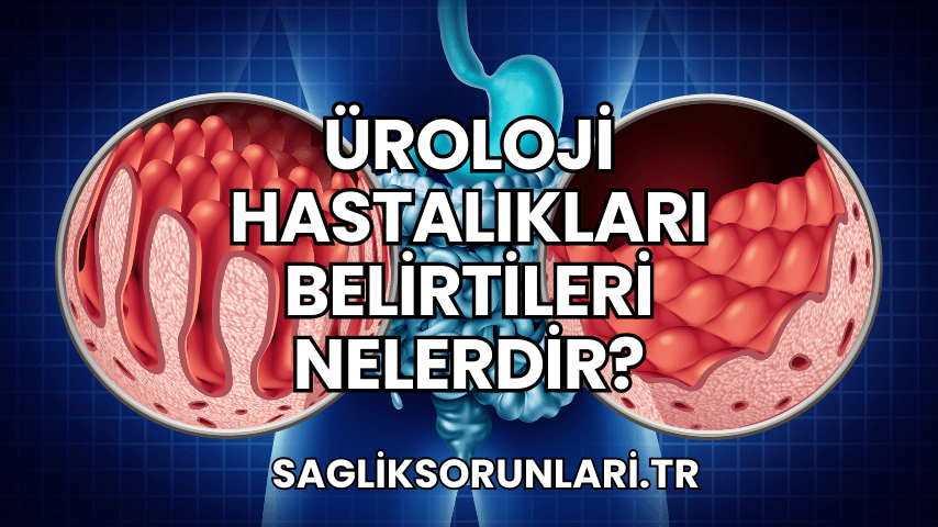 Üroloji Hastalıkları Belirtileri Nelerdir?