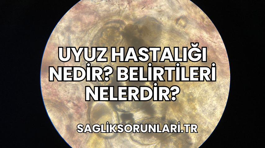 Uyuz Hastalığı Nedir? Belirtileri Nelerdir?