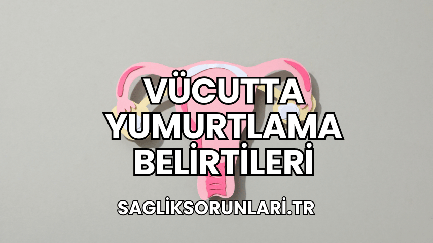 Vücutta Yumurtlama Belirtileri