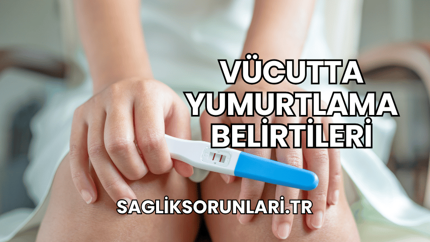 Vücutta Yumurtlama Belirtileri