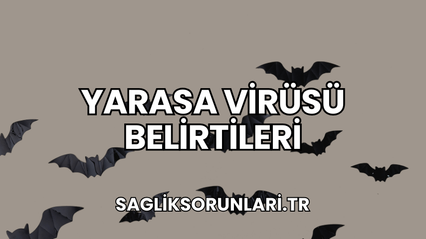 Yarasa Virüsü Belirtileri