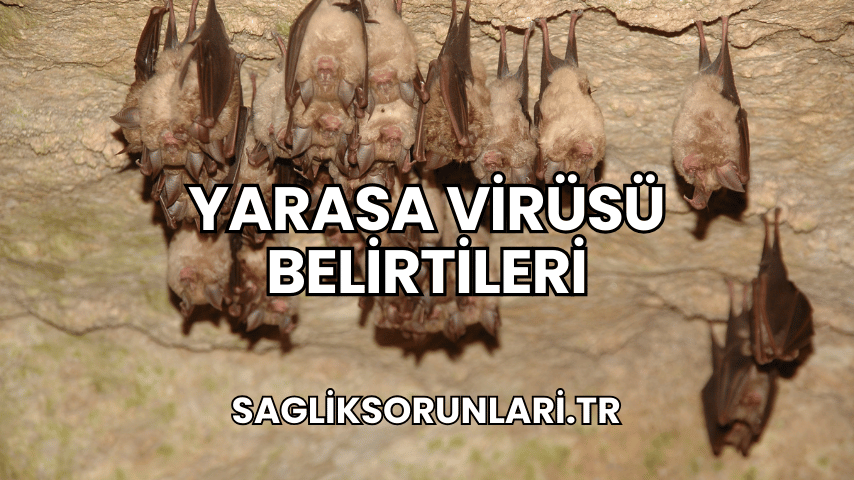 Yarasa Virüsü Belirtileri