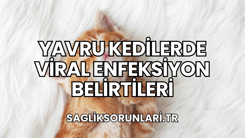 Yavru Kedilerde Viral Enfeksiyon Belirtileri