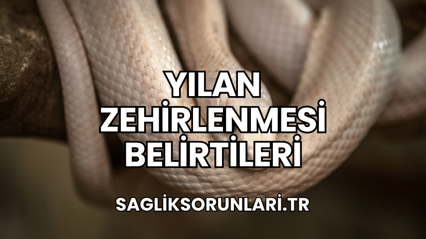 Yılan Zehirlenmesi Belirtileri