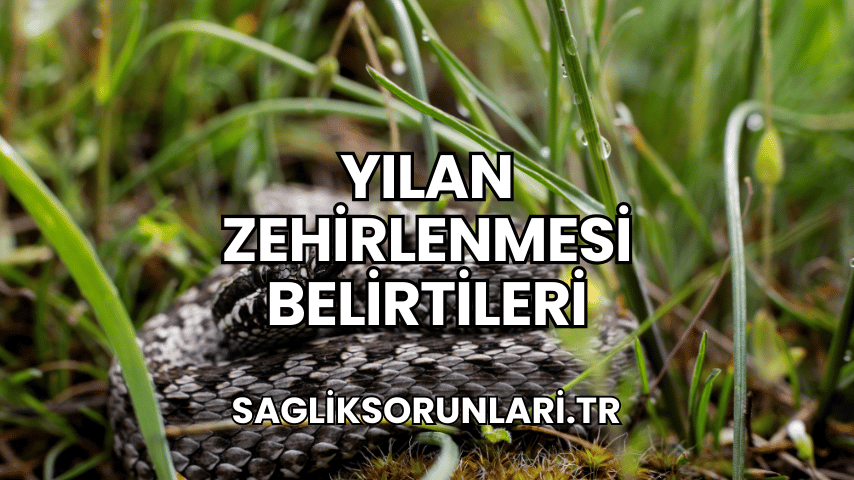 Yılan Zehirlenmesi Belirtileri