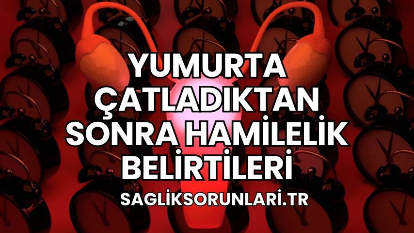 Yumurta Çatladıktan Sonra Hamilelik Belirtileri