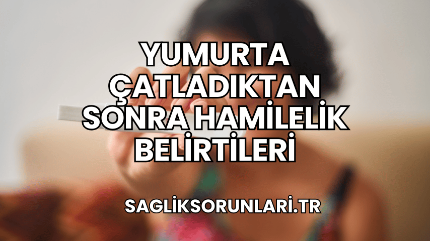 Yumurta Çatladıktan Sonra Hamilelik Belirtileri