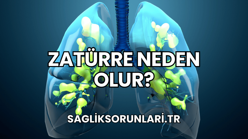 Zatürre Neden Olur?