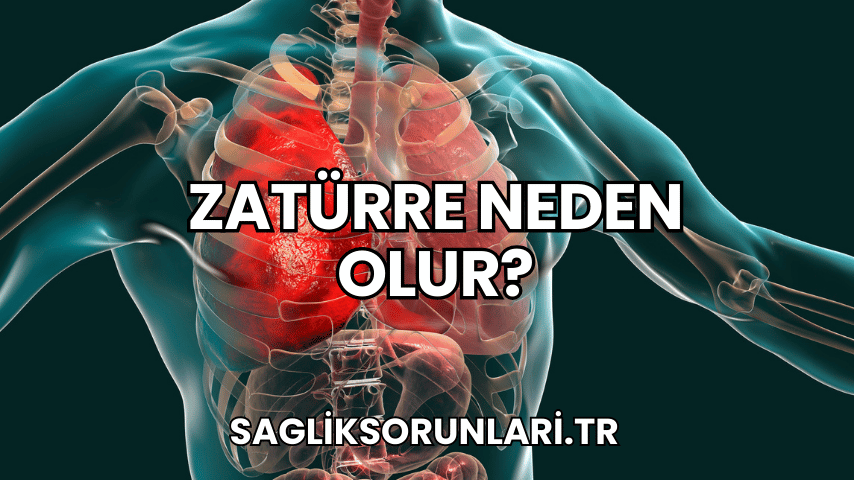 Zatürre Neden Olur?