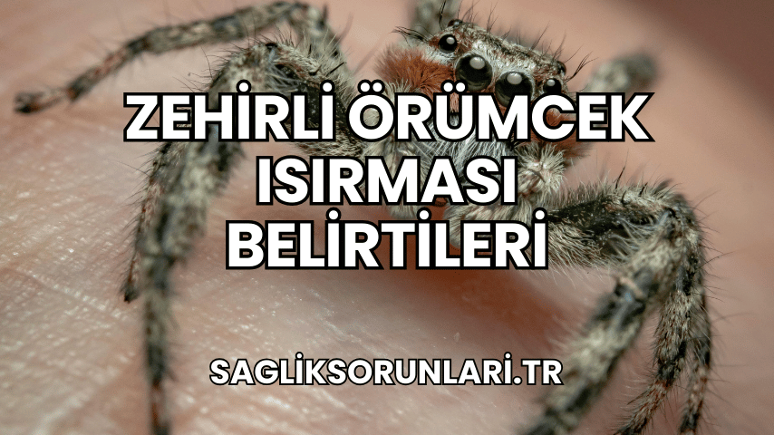 Zehirli Örümcek Isırması Belirtileri