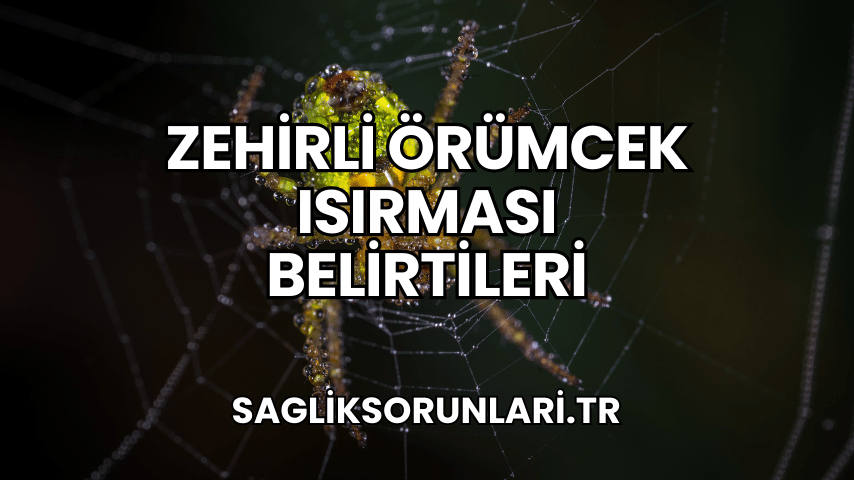 Zehirli Örümcek Isırması Belirtileri