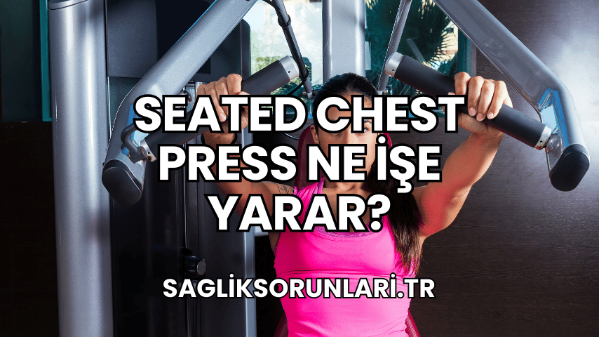 Seated Chest Press Ne İşe Yarar?