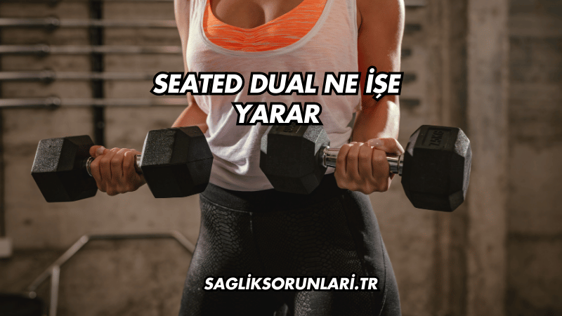 Seated Dual Ne İşe Yarar?