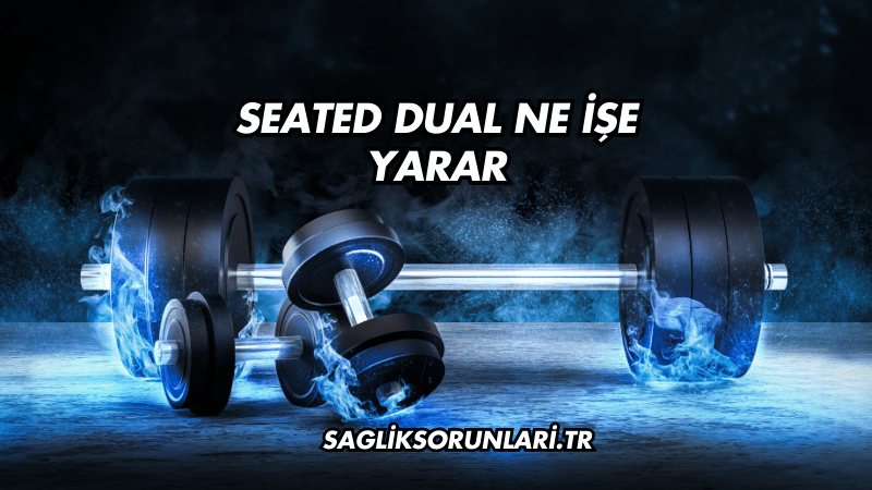 Seated Dual Ne İşe Yarar?