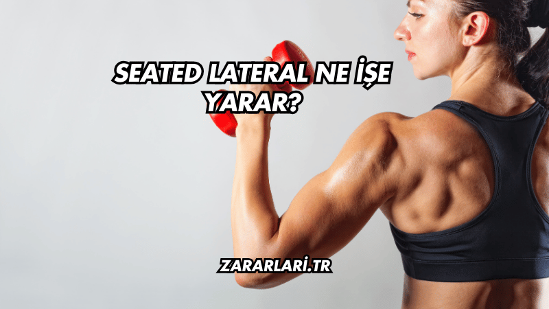 Seated Lateral Ne İşe Yarar?