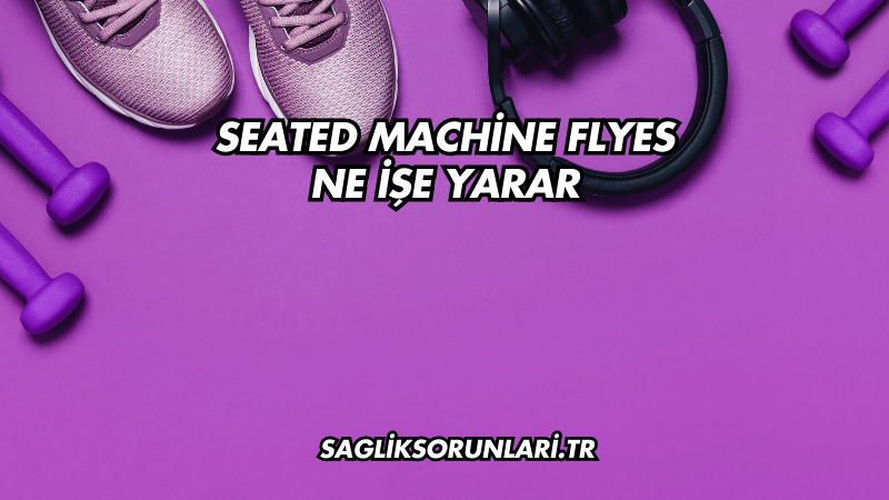 Seated Machine Flyes Ne İşe Yarar?