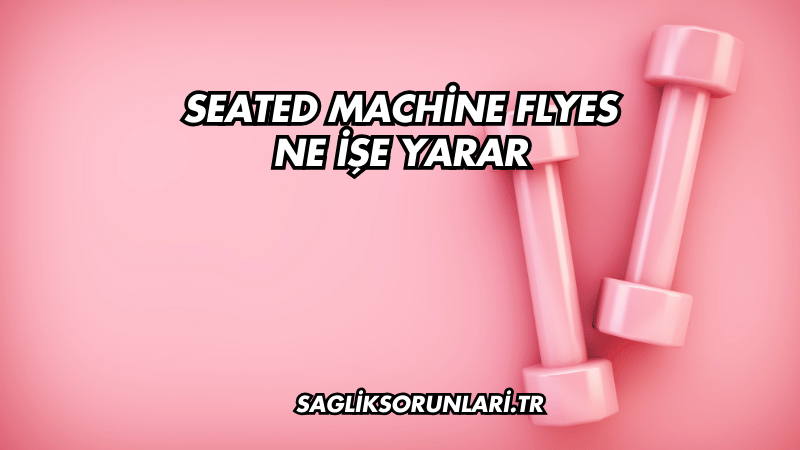 Seated Machine Flyes Ne İşe Yarar?