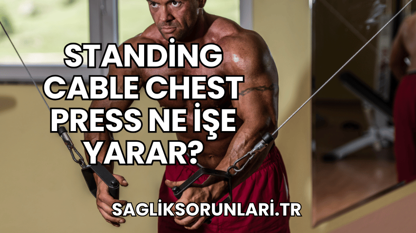 Standing Cable Chest Press Ne İşe Yarar?